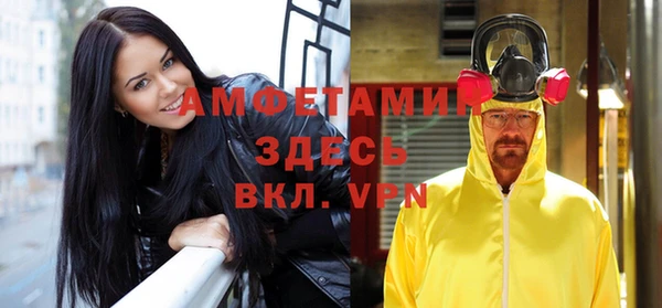 амф Алексин