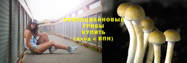 амф Алексин