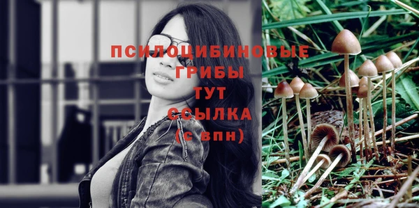 спайс Абаза