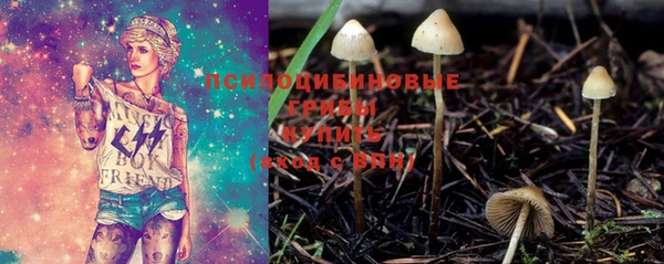 хмурый Абинск